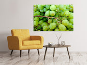 Vászonképek Green grapes