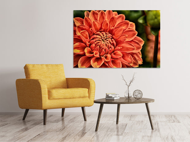 Vászonképek Painting of a dahlia