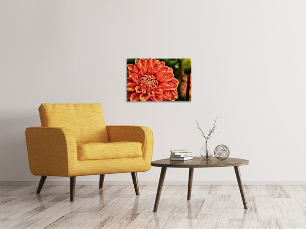 Vászonképek Painting of a dahlia