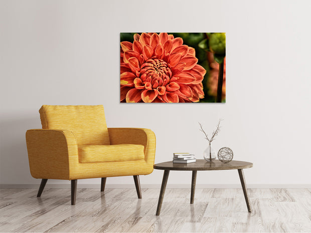 Vászonképek Painting of a dahlia