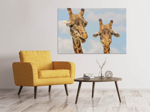 Vászonképek 2 giraffes