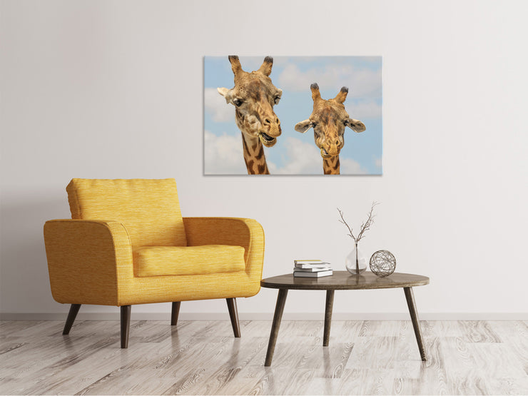 Vászonképek 2 giraffes