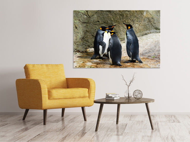 Vászonképek King penguins