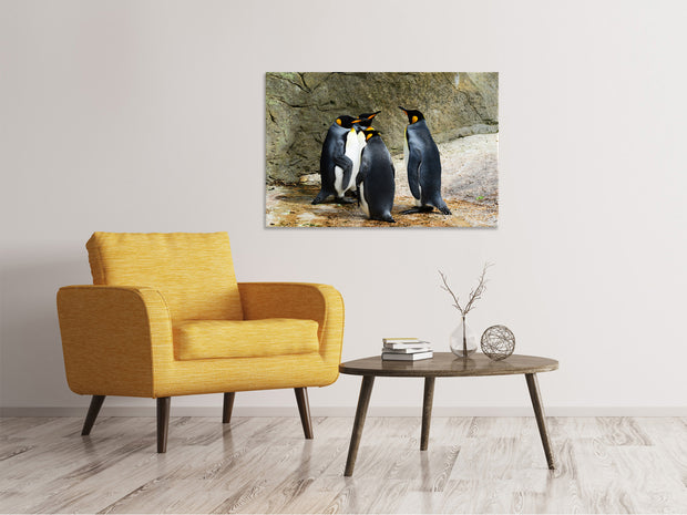 Vászonképek King penguins