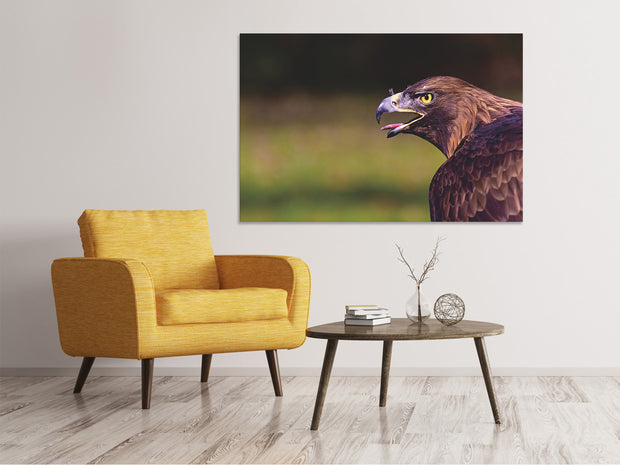 Vászonképek Watchful eagle