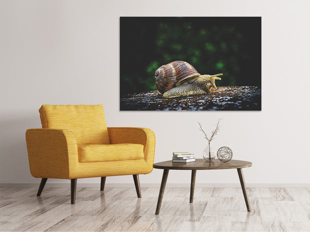 Vászonképek Snail XXL