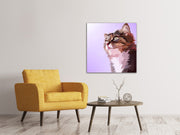 Vászonképek Pop Art Cats Portrait