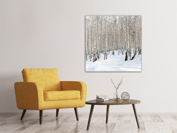 Vászonképek Birch Forest Tracks In Snow