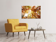Vászonképek Enlightened Autumn Trees