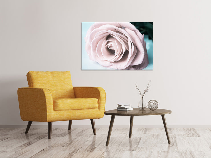 Vászonképek Pastel Rose