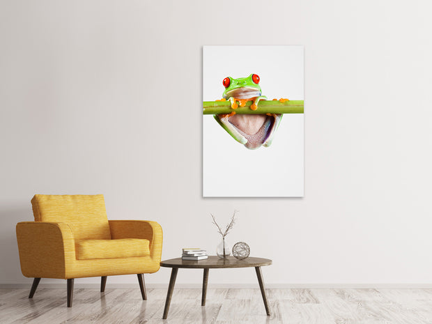 Vászonképek Frog Acrobatics