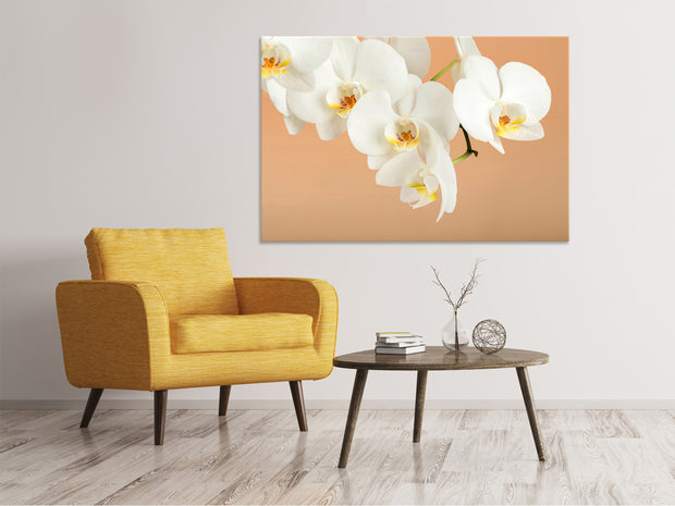 Vászonképek White Orchid Flowers