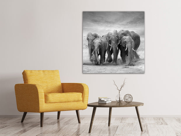 Vászonképek The Elephants