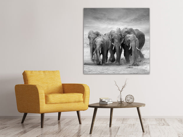Vászonképek The Elephants