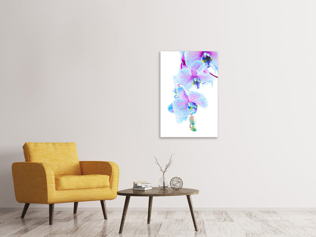 Vászonképek Orchid Butterfly