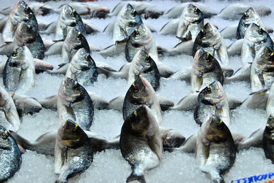 Fotótapéták At the fish market