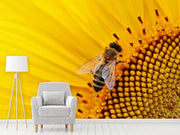 Fotótapéták Bee on the sunflower