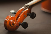 Fotótapéták Close up violin