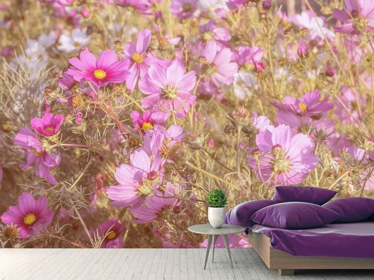 Fotótapéták The jewelry basket Cosmea