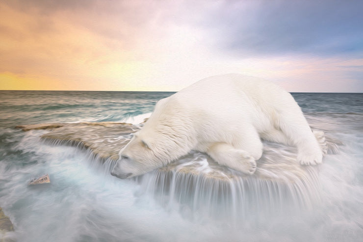 Fotótapéták The polar bear and the sea