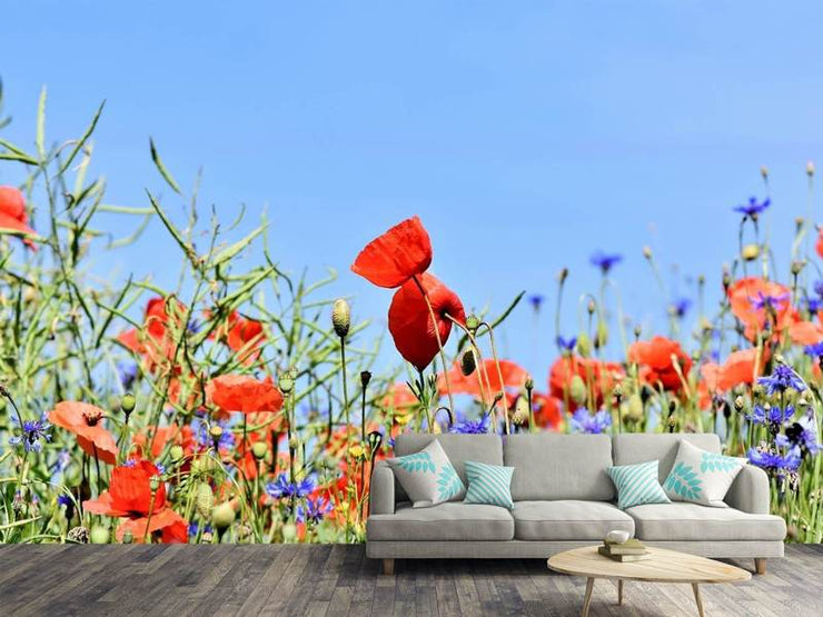 Fotótapéták The poppy in the flower meadow