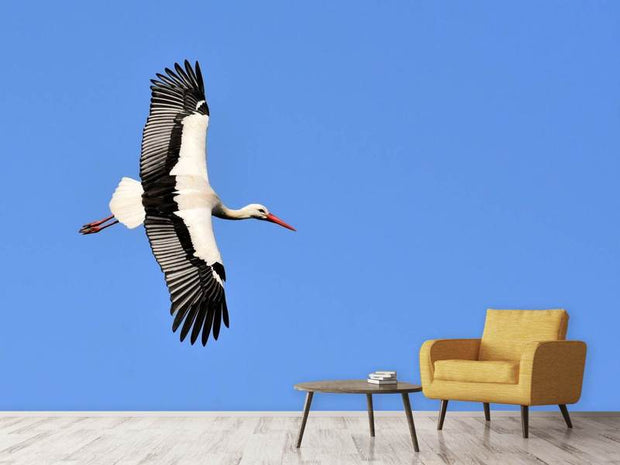Fotótapéták The stork in action
