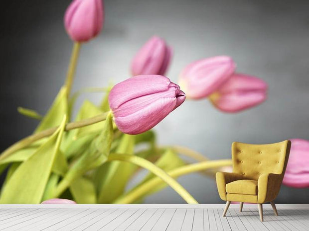 Fotótapéták The tulip bouquet in pink