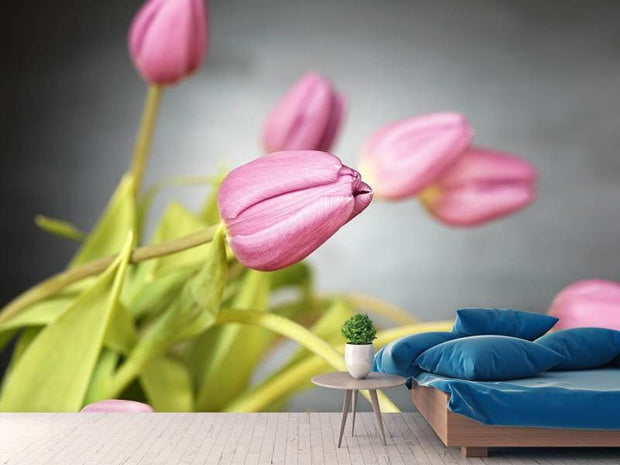 Fotótapéták The tulip bouquet in pink