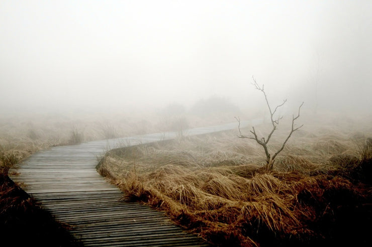 Fotótapéták dense fog