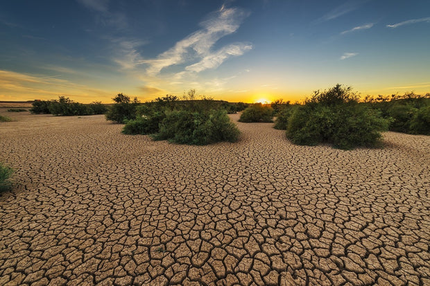 Fotótapéták The drought