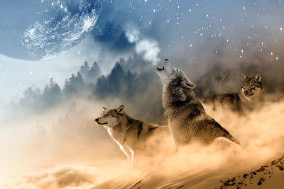 Fotótapéták The world of wolves