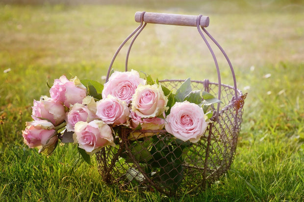 Fotótapéták A basket full of roses