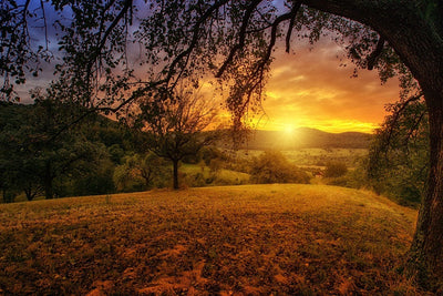 Fotótapéták A landscape in the sunset