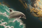 Fotótapéták Fascination dolphin