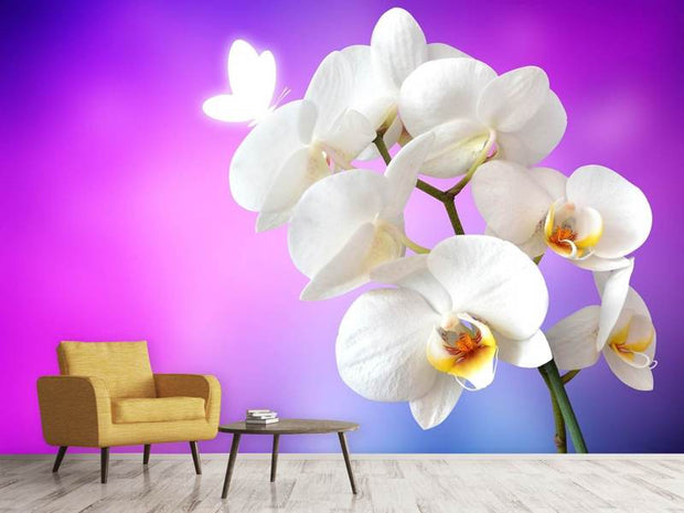 Fotótapéták Flower Power Orchid