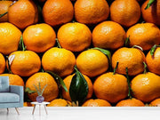 Fotótapéták Fresh oranges