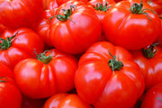 Fotótapéták Fresh tomatoes