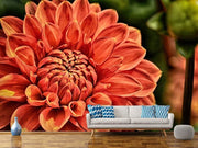 Fotótapéták Painting of a dahlia