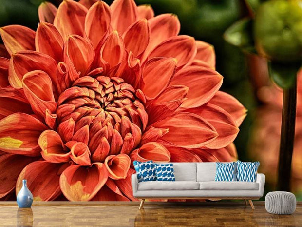 Fotótapéták Painting of a dahlia