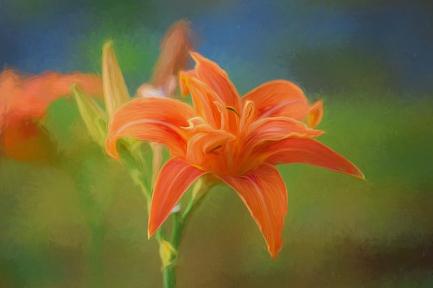 Fotótapéták Painting of a lily