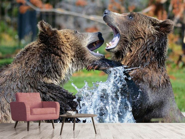 Fotótapéták Grizzly fight