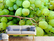 Fotótapéták Green grapes