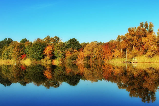 Fotótapéták Autumn reflections