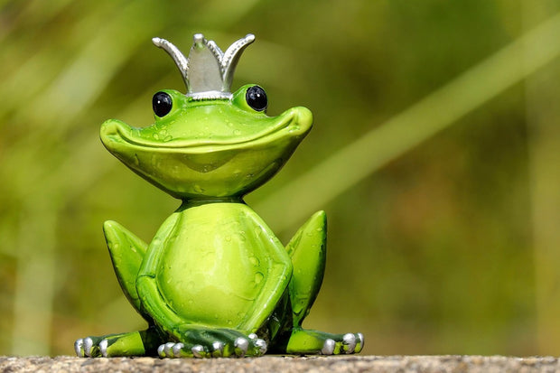 Fotótapéták Mr. Frog King