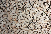 Fotótapéták woodpile