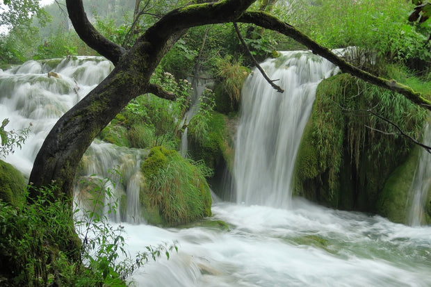 Fotótapéták In the national park