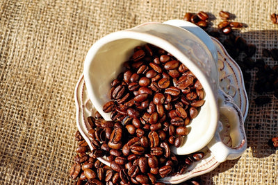 Fotótapéták Coffee beans in the cup