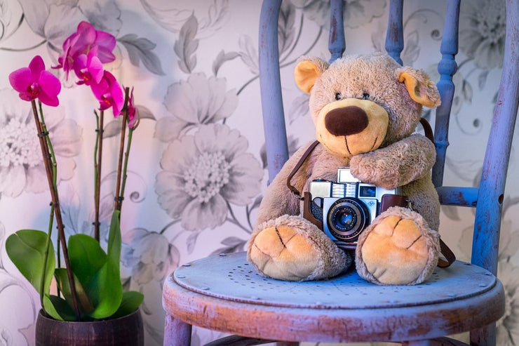 Fotótapéták Camera teddy bear