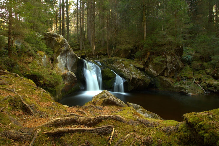 Fotótapéták Small waterfall in the forest