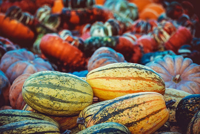 Fotótapéták Pumpkin types